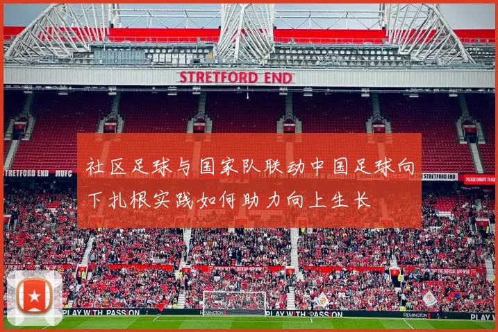 社区足球与国家队联动中国足球向下扎根实践如何助力向上生长