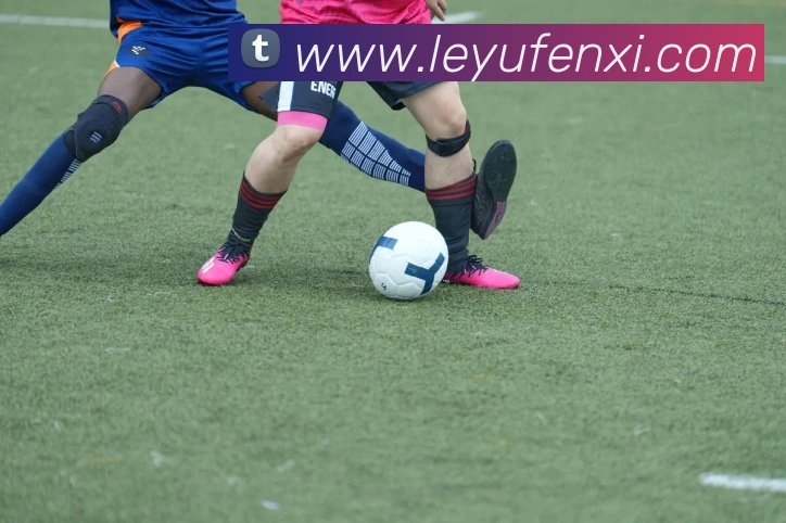 乐鱼体育平台生态图