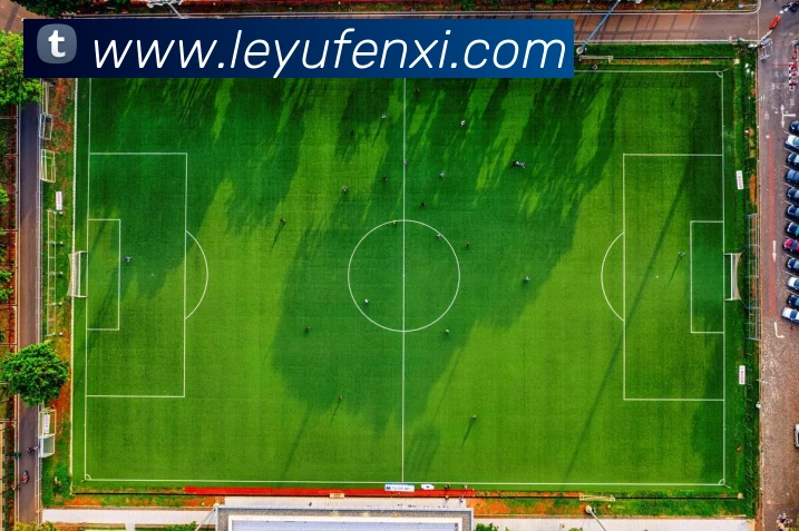 乐鱼体育全站App